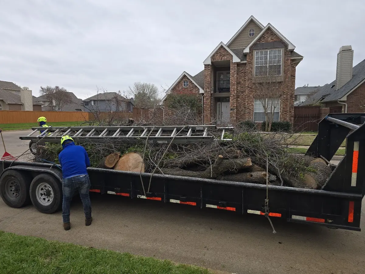 Expert Tree Pest Control with proper safety equipment in Chester Gap